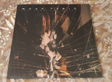 Load image into Gallery viewer, Amon Tobin : Out From Out Where (LP,Album,Reissue)
