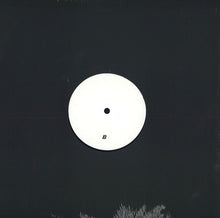 Load image into Gallery viewer, Nathan Fake : Degreelessness (12&quot;,45 RPM)
