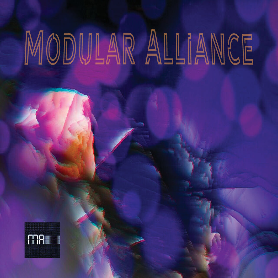 V/A - Modular Alliance Volume 1 - LP (Consignment)