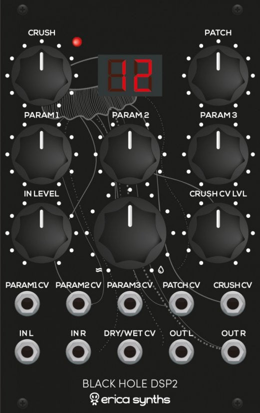 Erica Synths Black Hole DSP 2